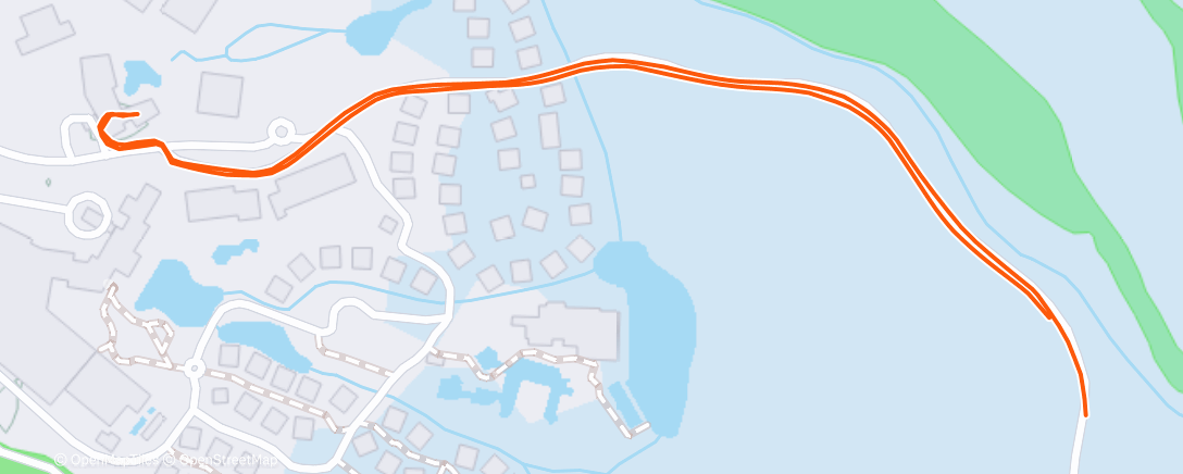 Карта физической активности (Morning Walk)