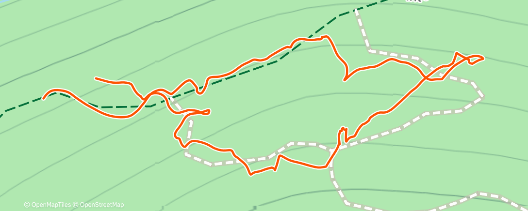 Mapa de la actividad (Morning Walk)