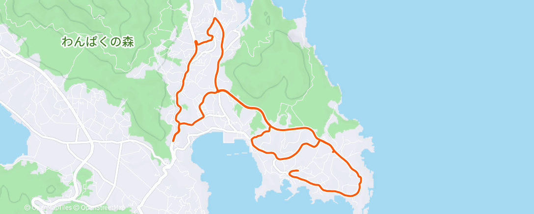 Map of the activity, 気温0℃帰宅後、夕飯前に🥶🥶🥶