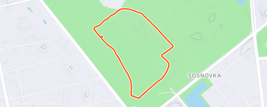 Карта физической активности (Утренний забег)