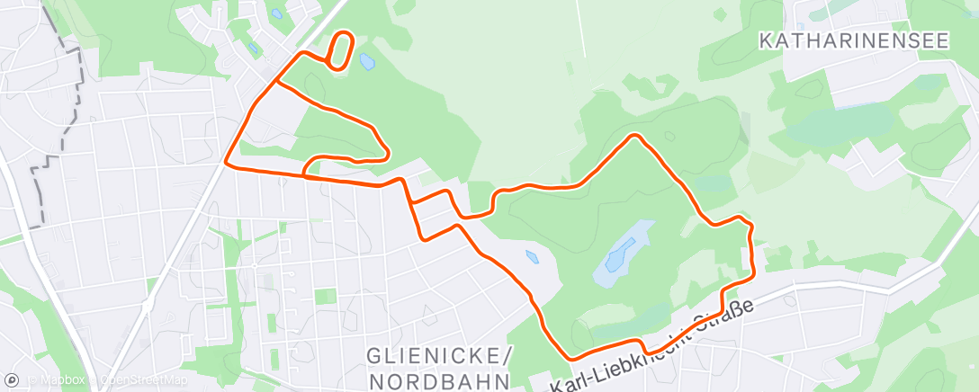 Mapa de la actividad (Silvester-Crosslauf)