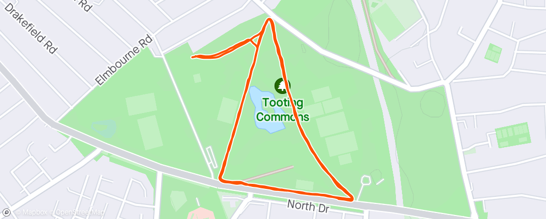 Map of the activity, Tooting Common Parkrun