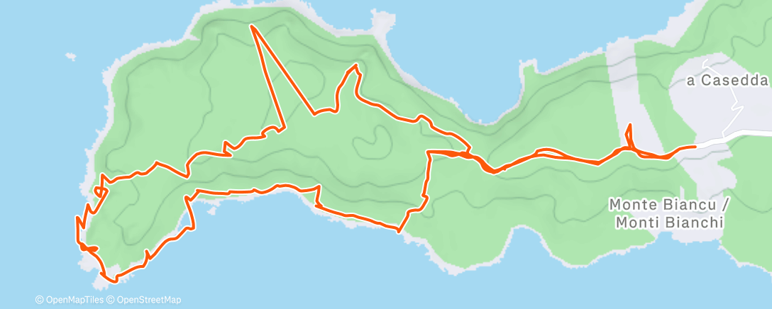 Карта физической активности (Marche dans l'après-midi)