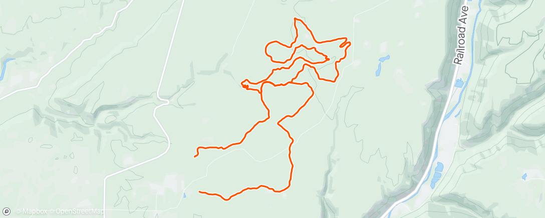 Map of the activity, Boggy and new trails!!!!