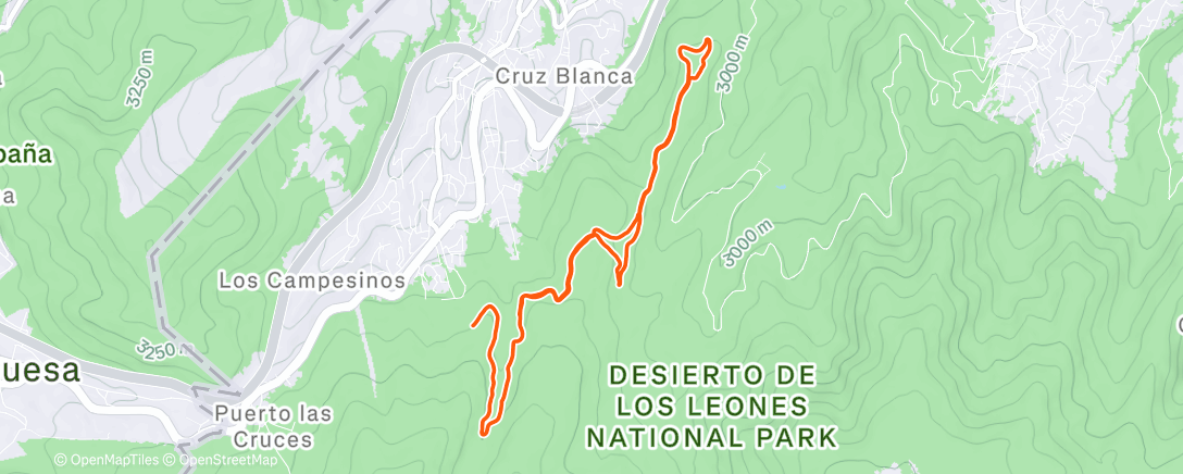 Map of the activity, Afternoon Trail Run 🥭🐀🐕