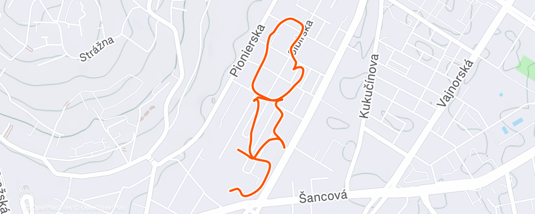 Map of the activity, Morning Run
