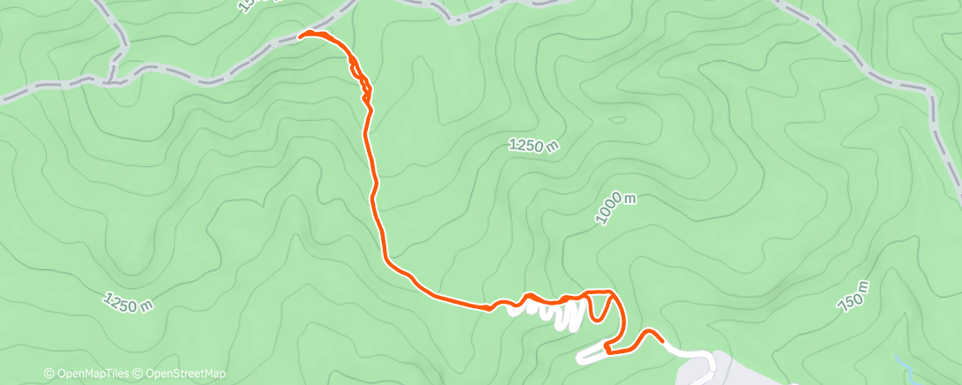 Карта физической активности (Night Backcountry Ski)