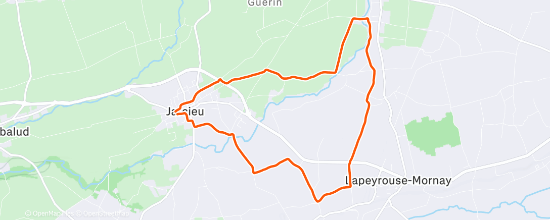 Map of the activity, Morning Run