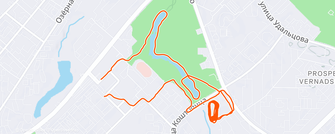 Map of the activity, Morning Run