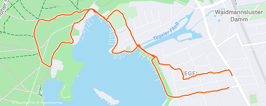 Карта физической активности (Lauf am Morgen)