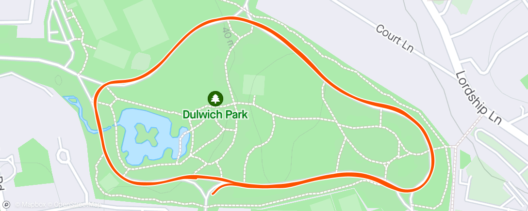 Map of the activity, Dulwich Parkrun - Run for Ron