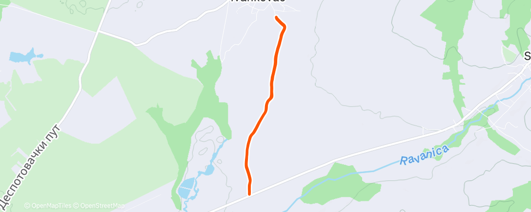 Map of the activity, Morning Run