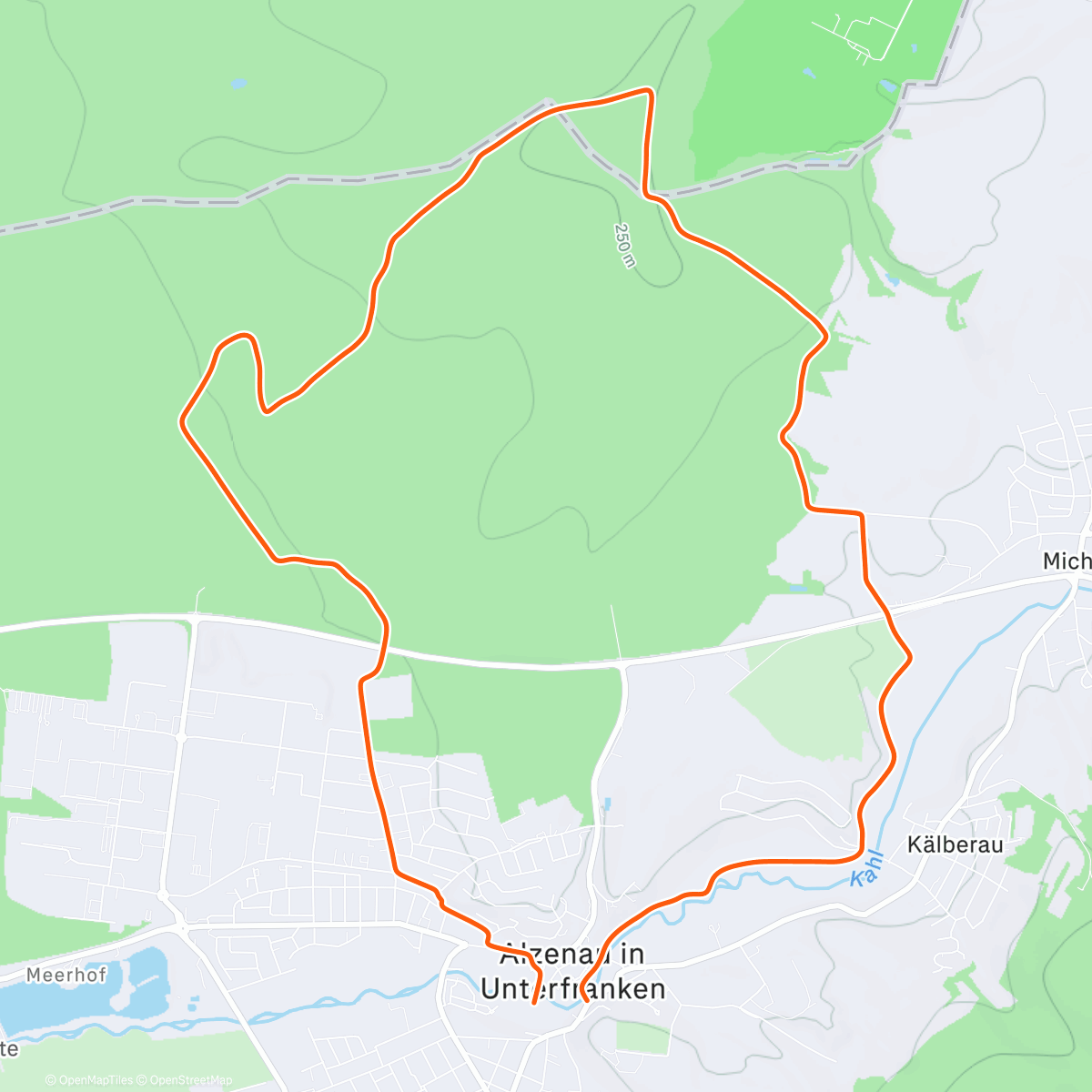 Карта физической активности (Morning Trail Run)