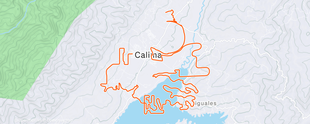 Carte de l'activité 2h with 2x10x15”/15” pickups