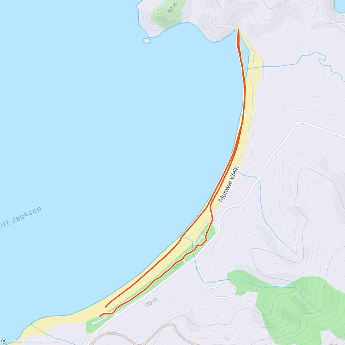 Map of the activity, Port Jackson Beach walk