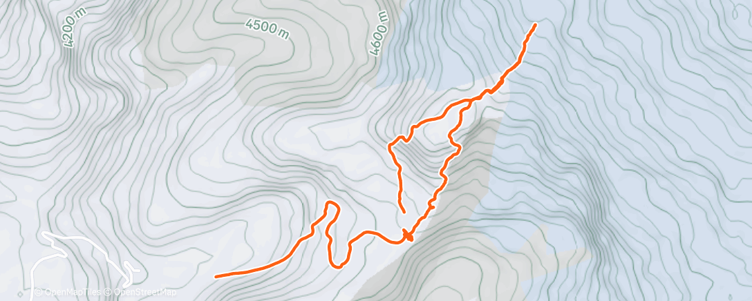 Carte de l'activité Night Trail Run