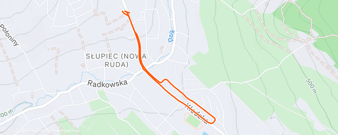 Карта физической активности (Night Walk)