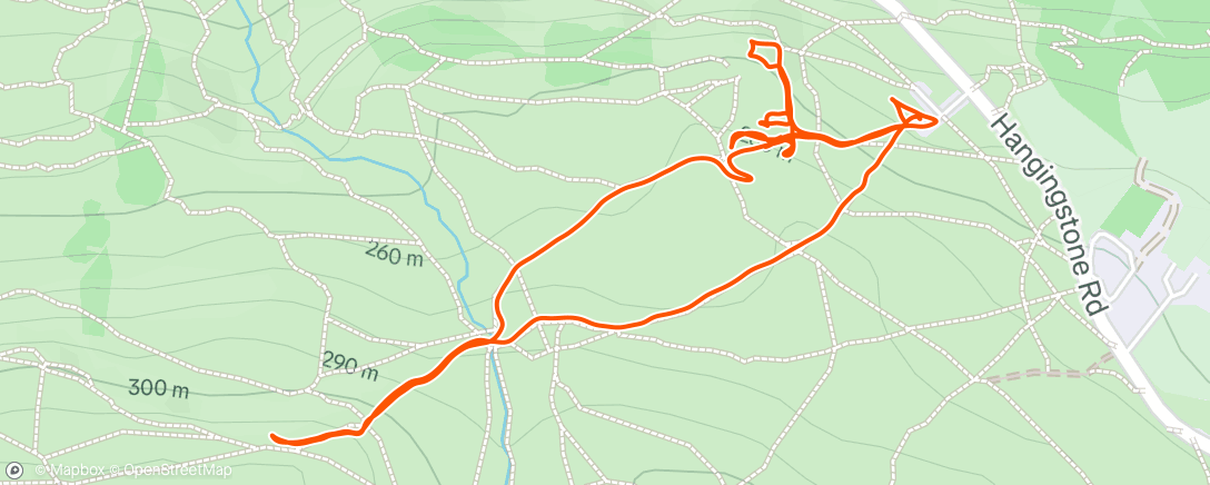 Map of the activity, New Year's Day romp about on the moor after a run