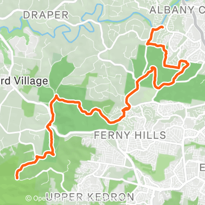 Bunya to Camp & Back | 37.6 km Trail Running Route on Strava