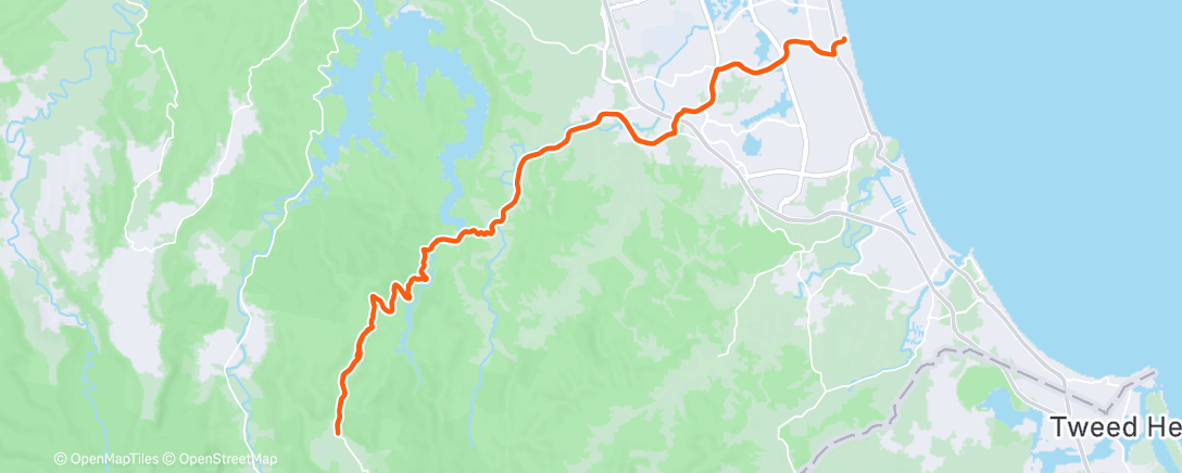 Карта физической активности (Springbrook 28122025)