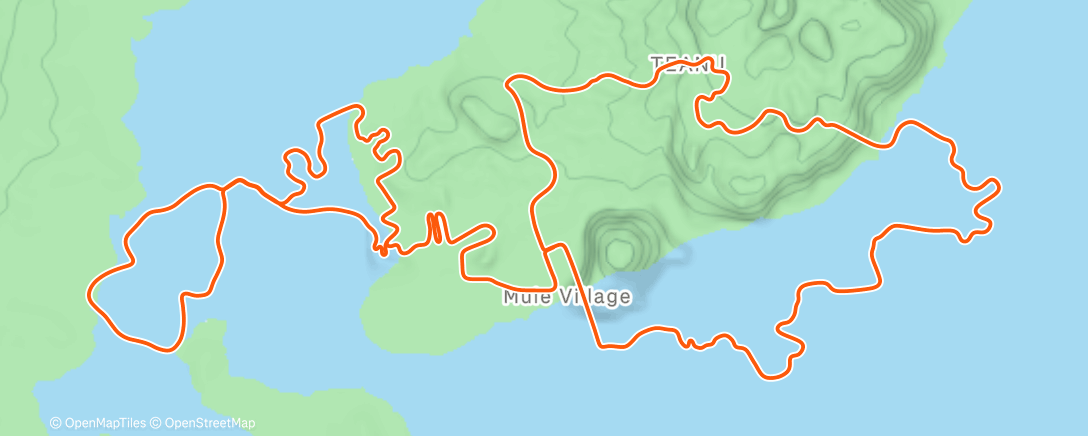 Map of the activity, Zwift - Jarvis Seaside Sprint in Watopia