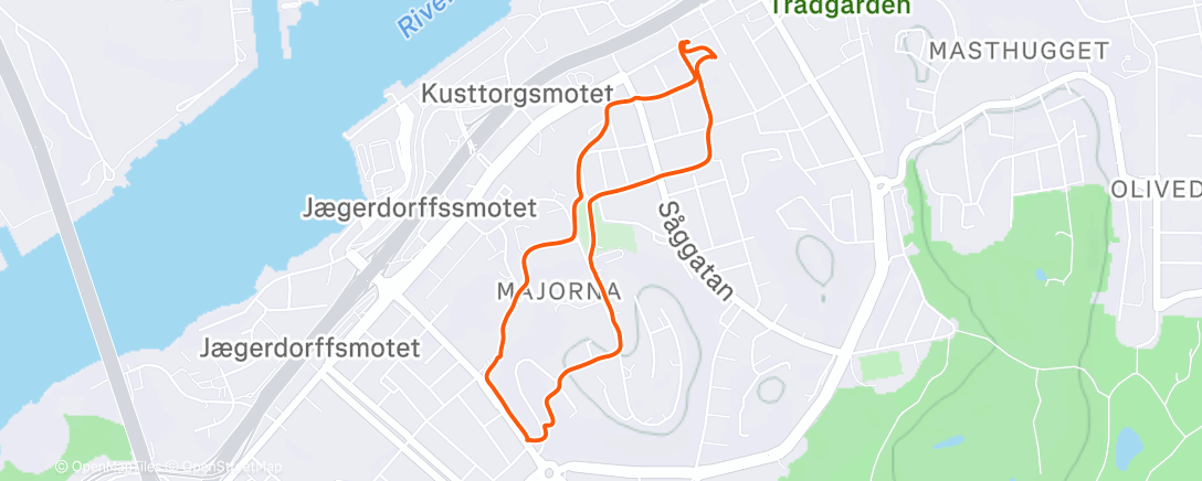 Карта физической активности (Gothenburg Walking)