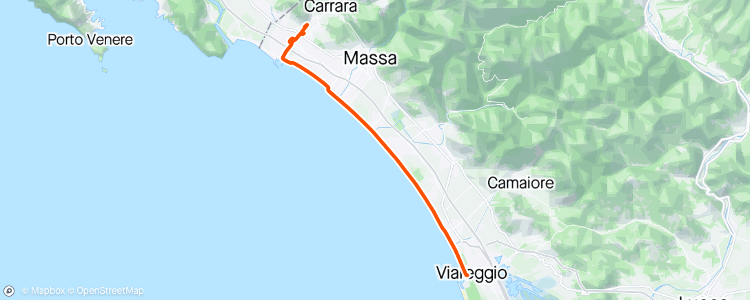 Map of the activity, Viareggio
