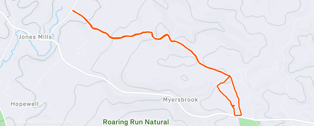 Map of the activity, the woods