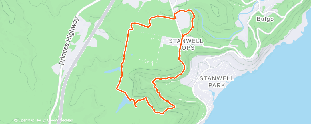 Карта физической активности (Lunch Run)