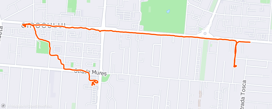 Map of the activity, Afternoon Walk