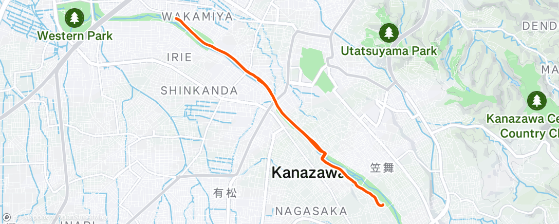 Карта физической активности (チム金朝練)