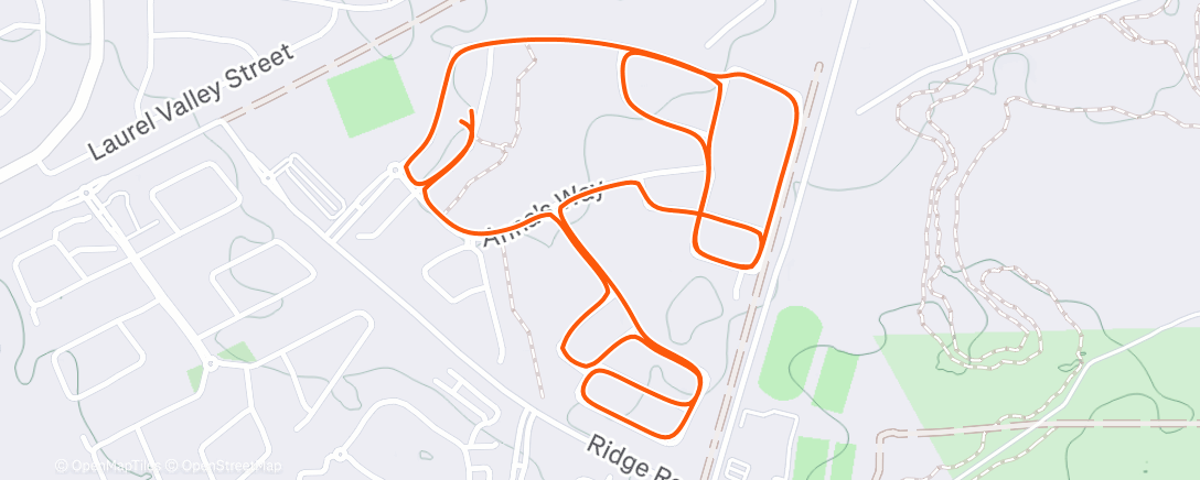 Map of the activity, Morning Walk