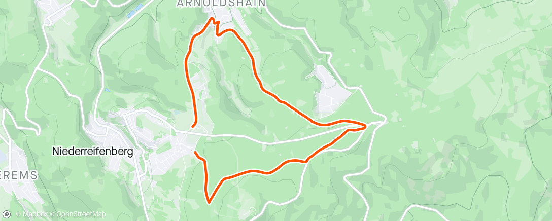 Карта физической активности (E-Mountainbike-Fahrt am Nachmittag)