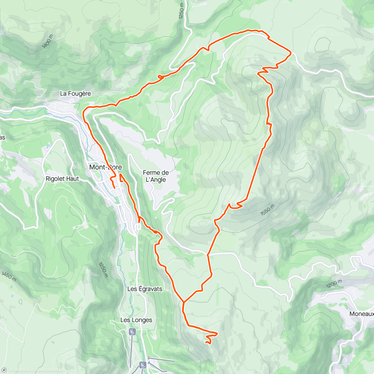 Mapa da atividade, Afternoon Trail Run