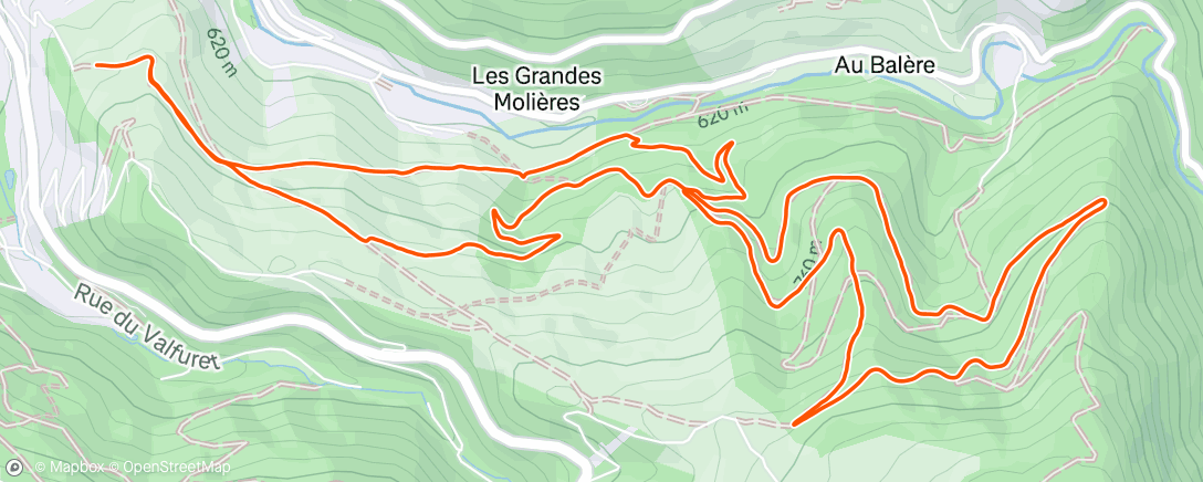 Map of the activity, Morning Trail Run