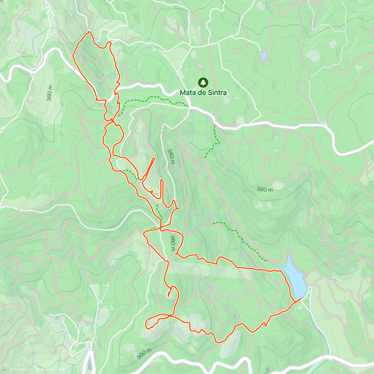 Map of the activity, Remédio santo