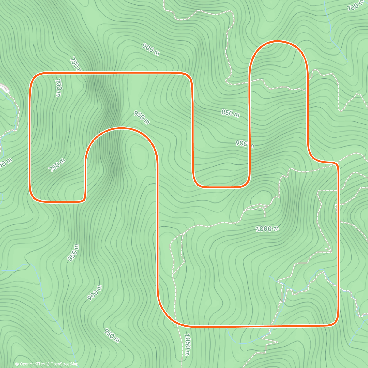 Карта физической активности (Antipha Festive 161)