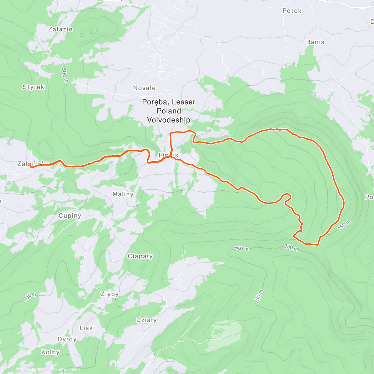 Map of the activity, Morning Run