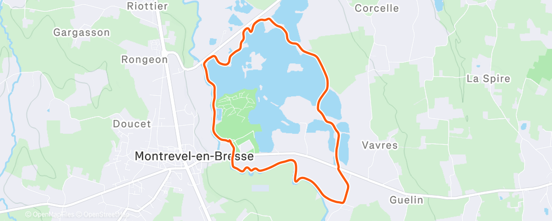 Карта физической активности (Marche dans l'après-midi)