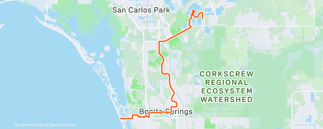 Карта физической активности (🌅Sunset Spin🌅)