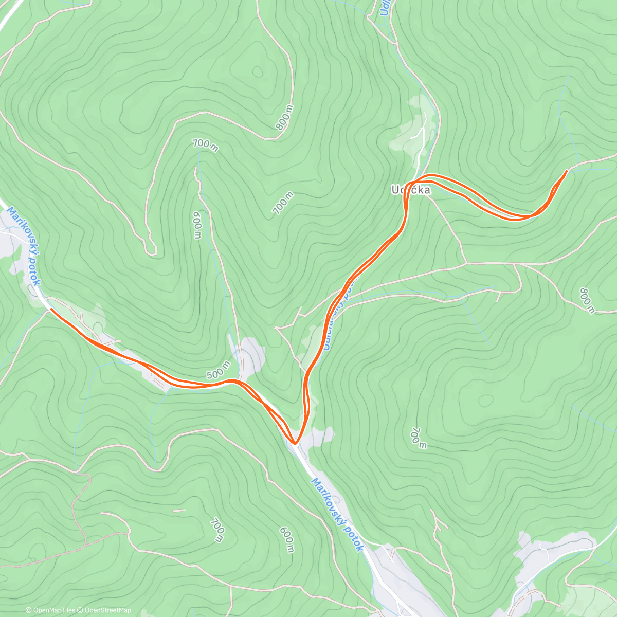 Карта физической активности (Afternoon Run)