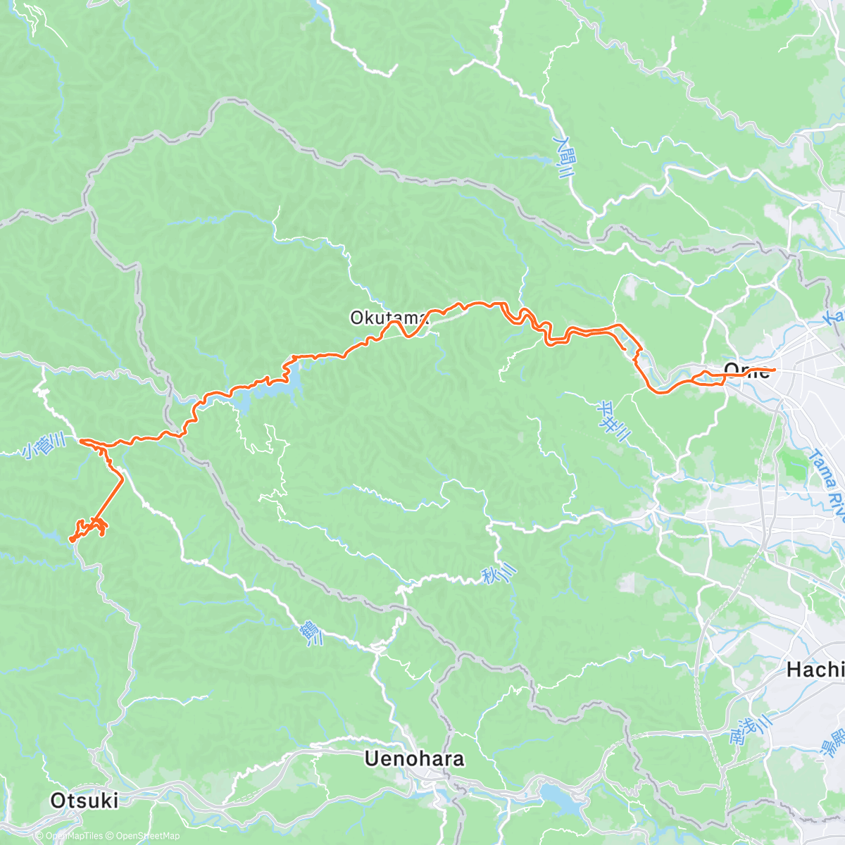 Карта физической активности (Matsuhime Pass)