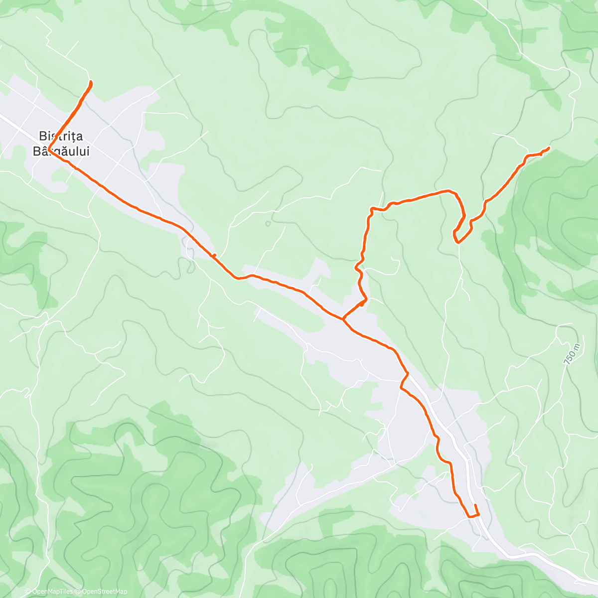 Map of the activity, Bistrita Bargaului