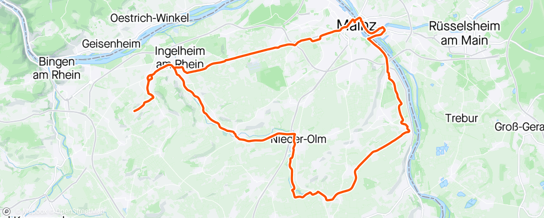 Map of the activity, Johannes bis nach Mainz-Kostheim begleitet, dann alleine wieder zurück zum Lauri