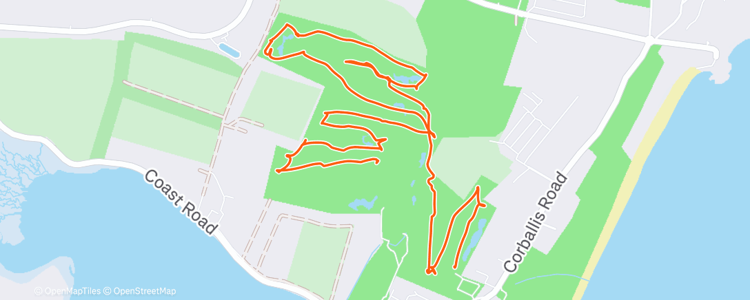 Карта физической активности (Lunch Golf)