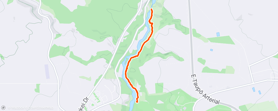 Mapa de la actividad (The slowest run walk)