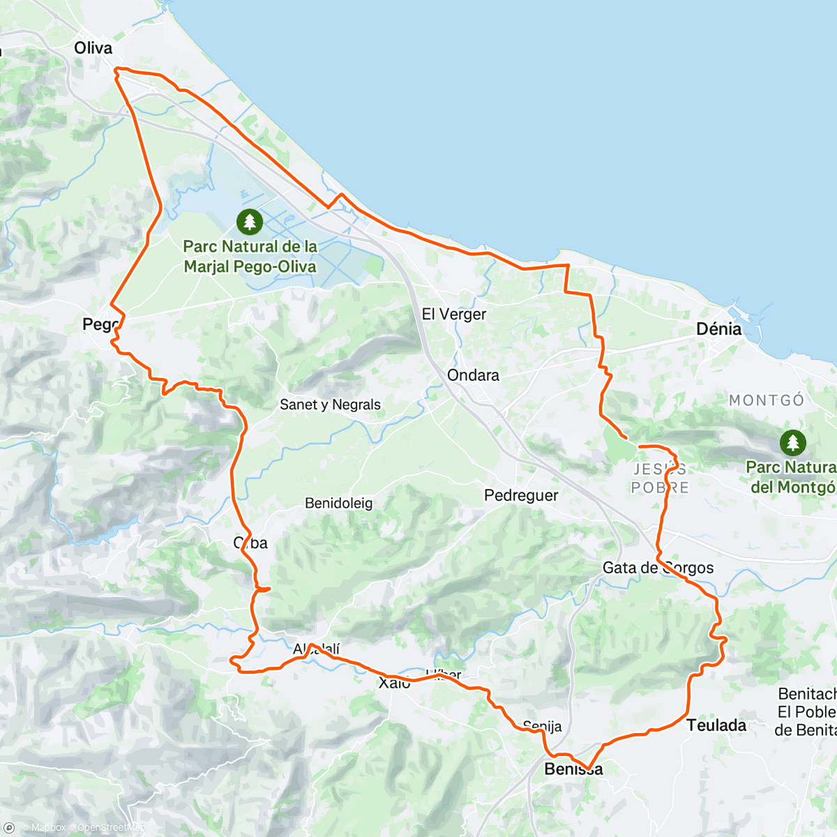 Map of the activity, Alive