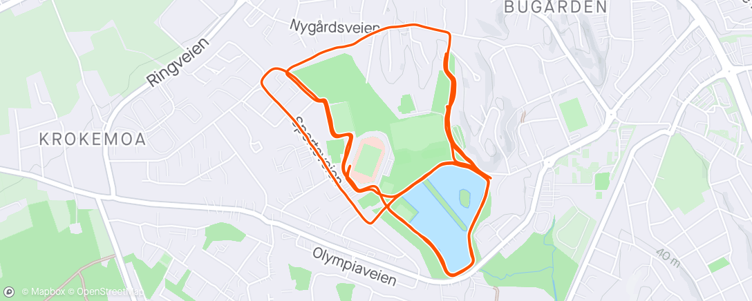Map of the activity, Bugården