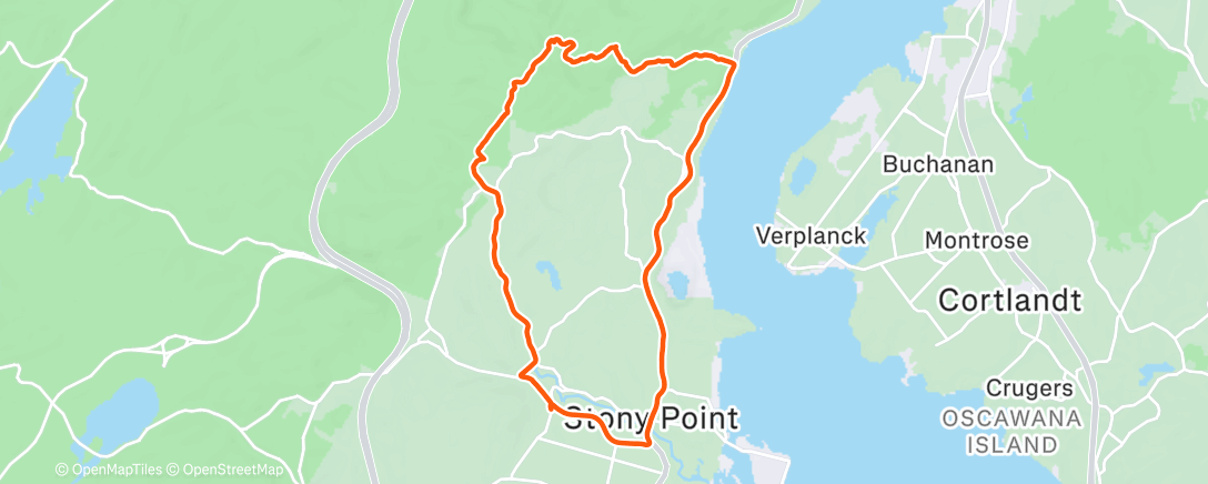 Карта физической активности (Timp Loop)