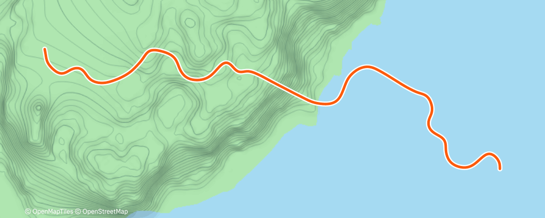 Карта физической активности (Zwift - Cadence Pyramid on Sand And Sequoias in Watopia)